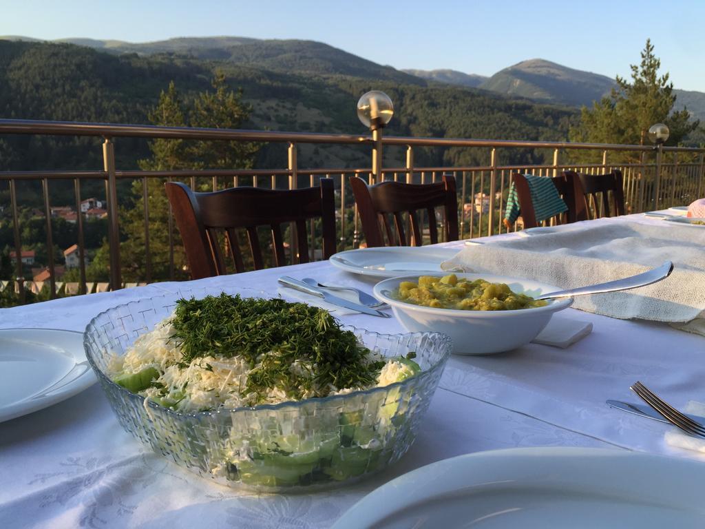Mala Planina Guest House Iskrets Luaran gambar